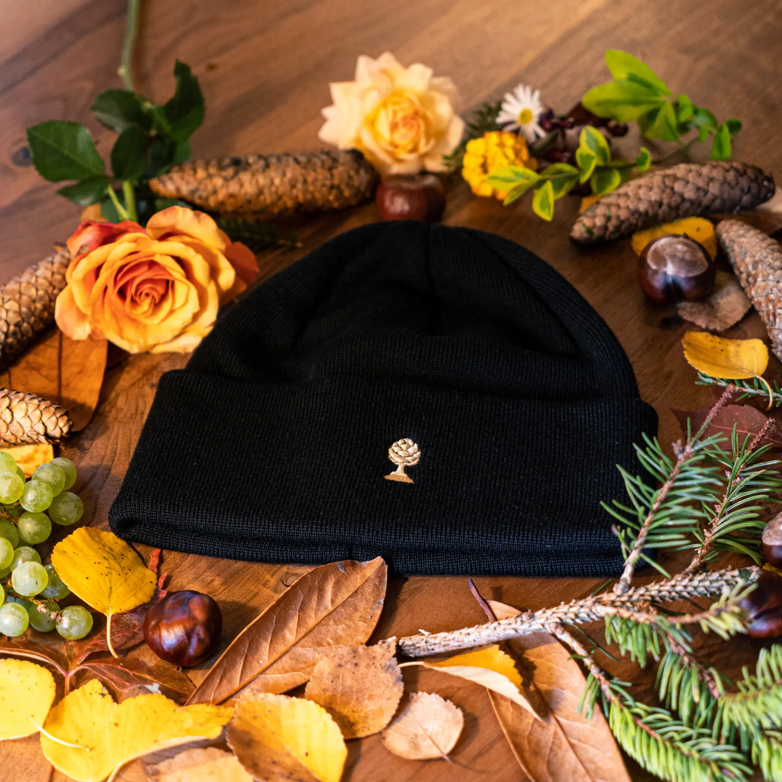 Beanie aus Merinowolle mit Zirbelnuss Logo-Applikation (Gold Edition), Ansicht 1